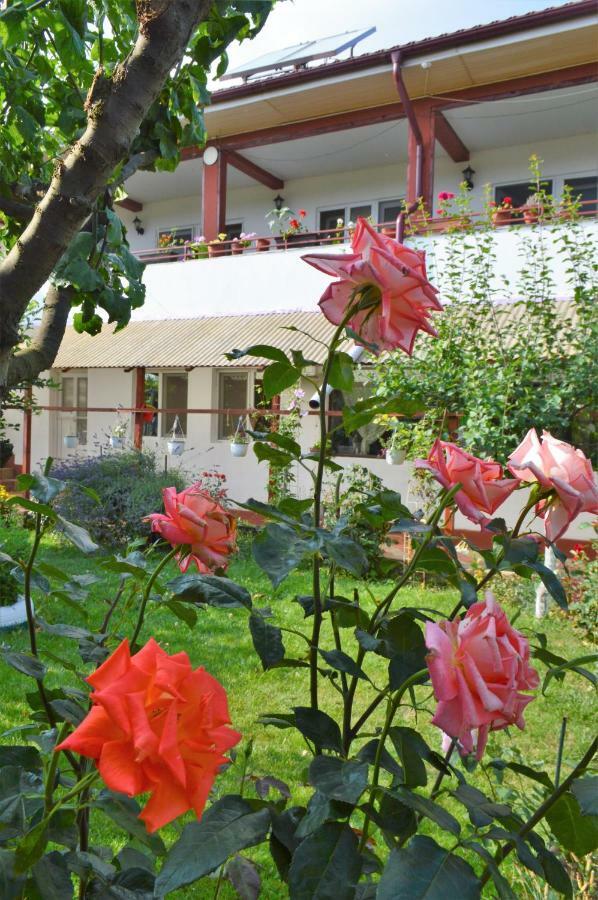 Casa Gia Ξενοδοχείο Costinești Εξωτερικό φωτογραφία