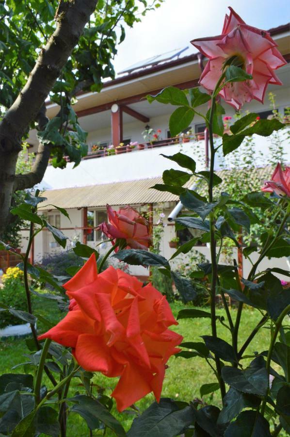 Casa Gia Ξενοδοχείο Costinești Εξωτερικό φωτογραφία